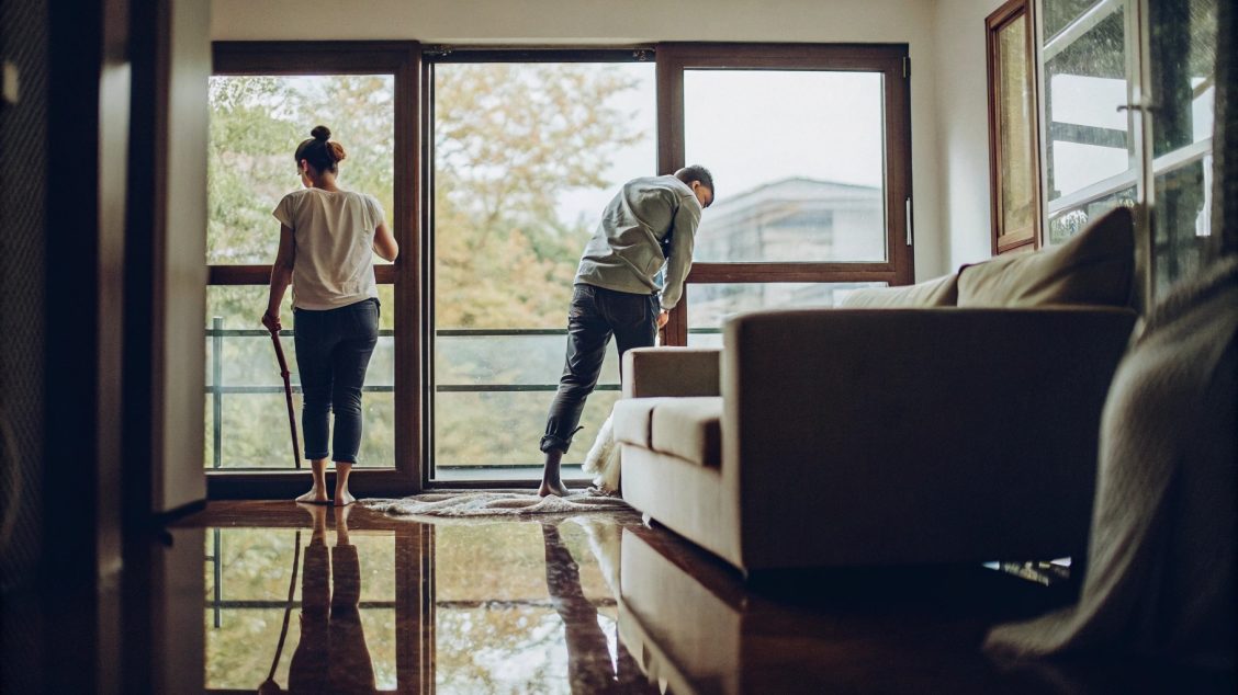 Espacio renovado tras una reforma con ventanas limpias y suelos brillantes.